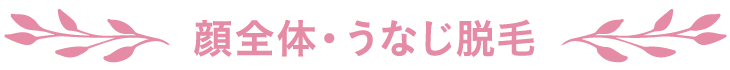 顔全体・うなじ脱毛